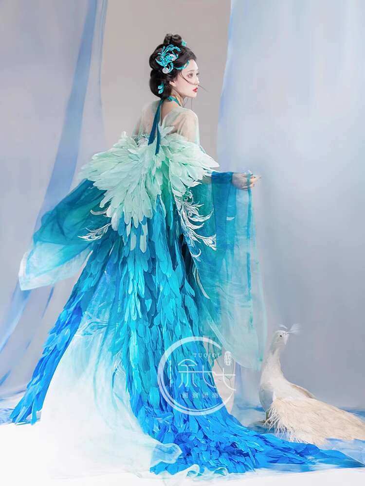 New Peacock Hanfu Womens fashi - Embroidery Skirt review and price